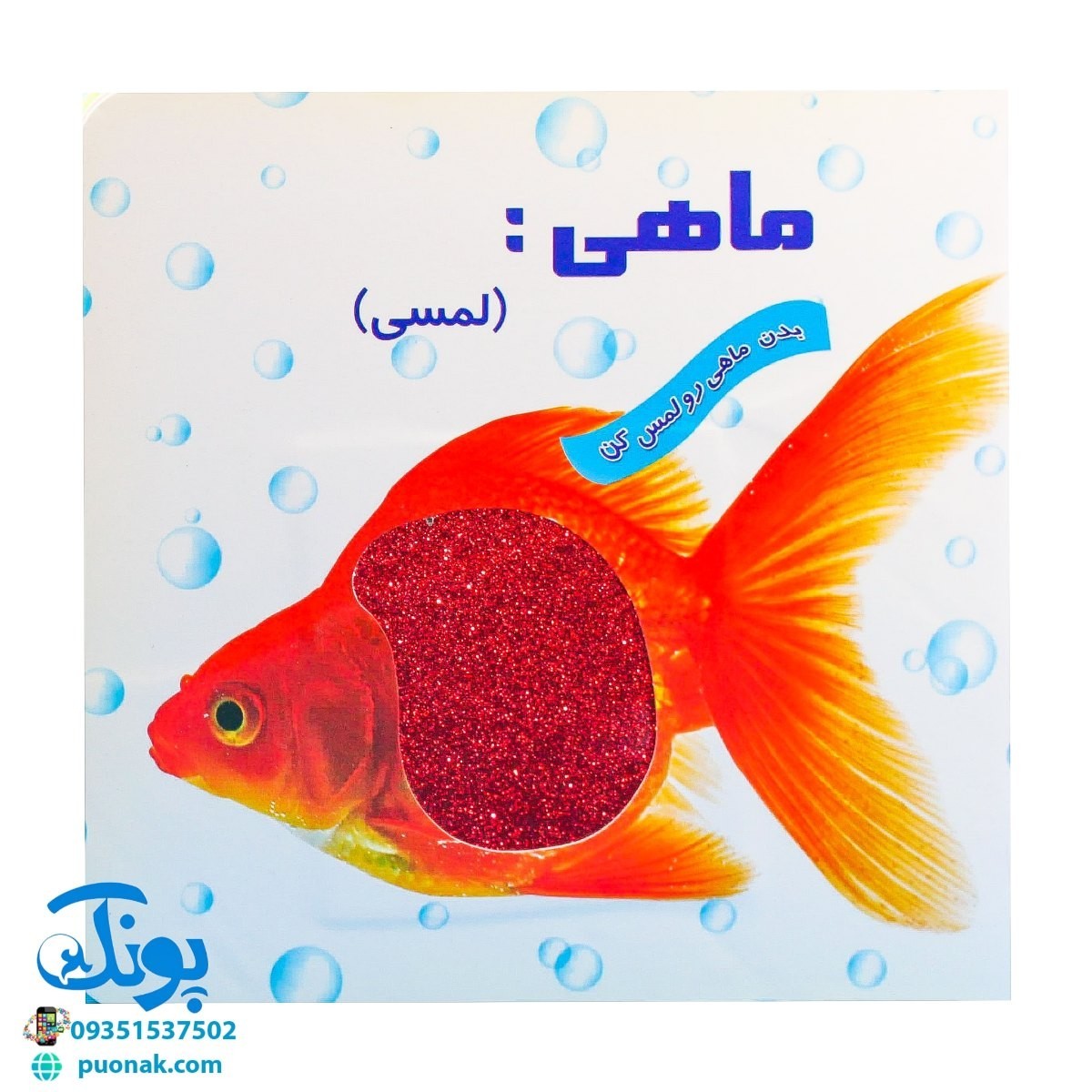کتاب ماهی لمسی بدن ماهی را لمس کن