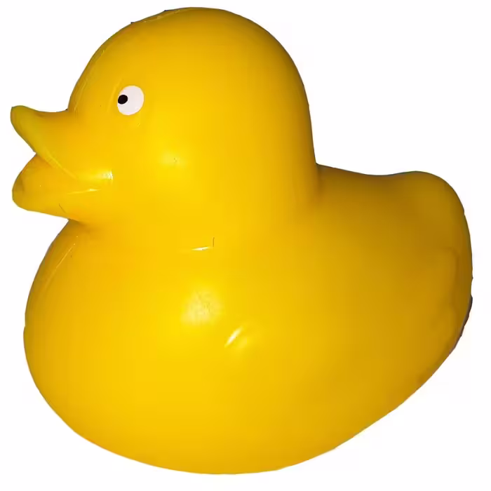 فیجت ضداسترس جوجه اردک