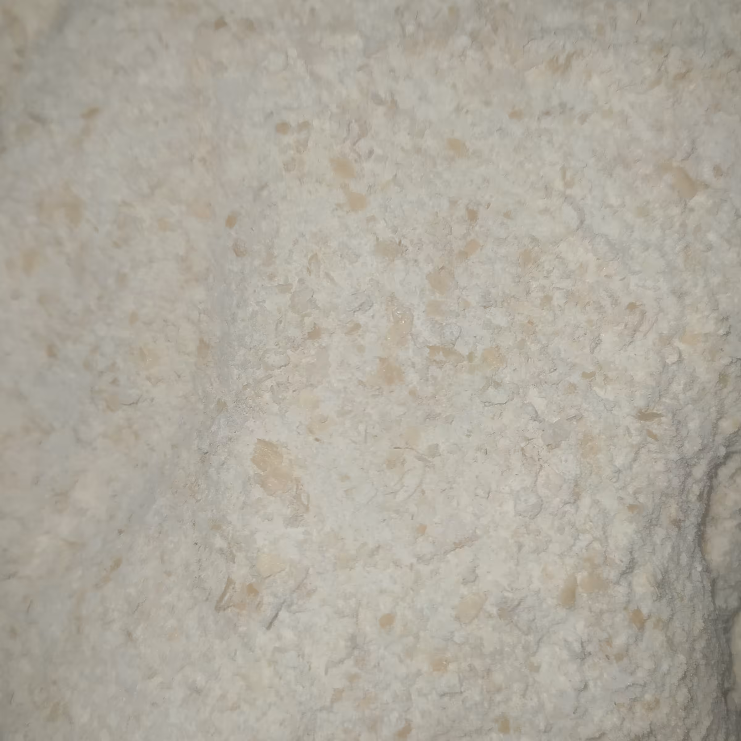 پودر جوانه گندم 100 درصد طبیعی تولید شده و خشک شده در آفتاب در بسته بندیهای 250 گرم