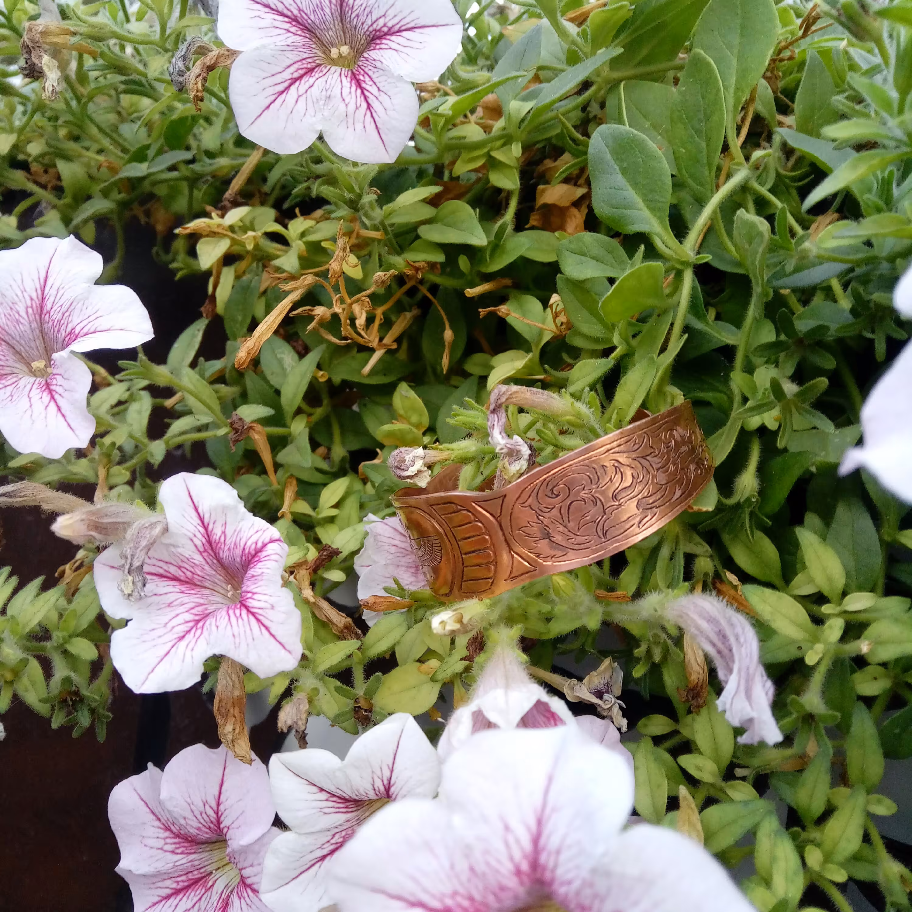 دستبند فروهر(نماد)