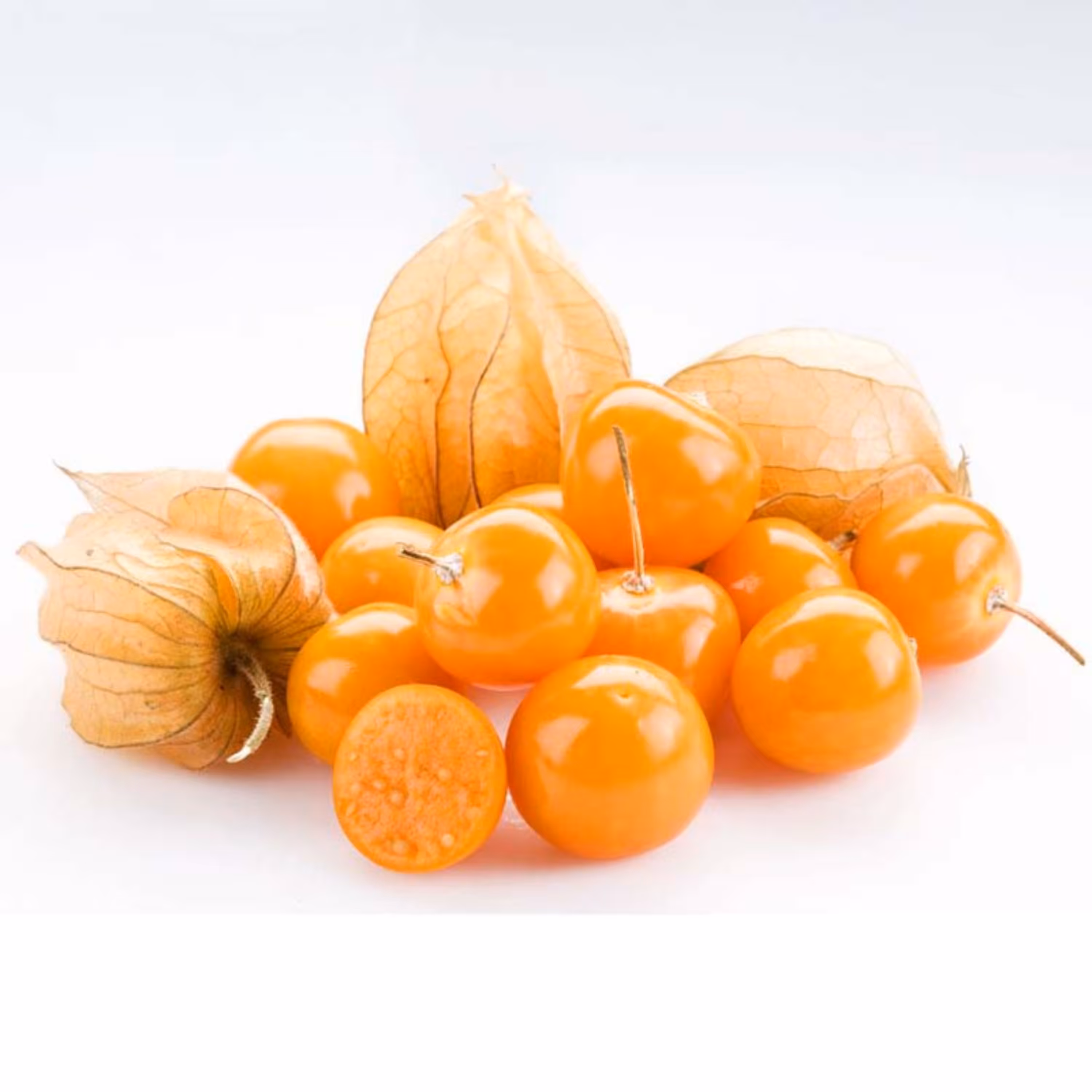 بذر فیسالیس غول هندی 10 عددی 