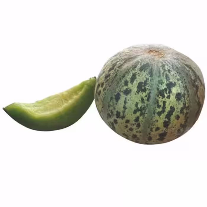 بذر خربزه  تیل سبز