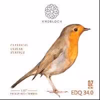 سیم گیتار نابلوخ مدل EDQ34 