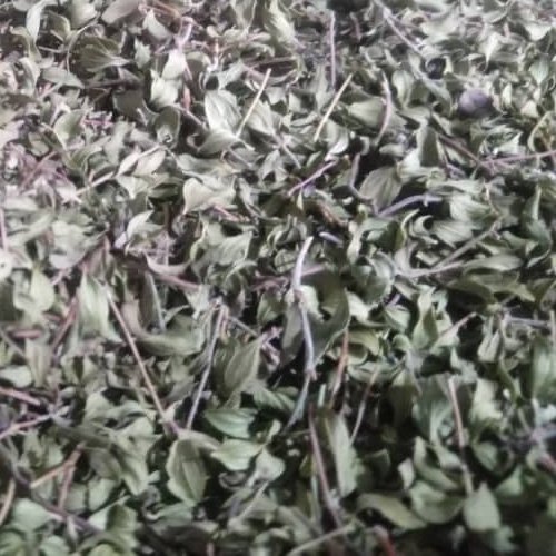 کاکوتی تازه
