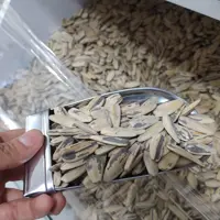 تخمه سناتور درجه یک تازه پخت 250گرمی 