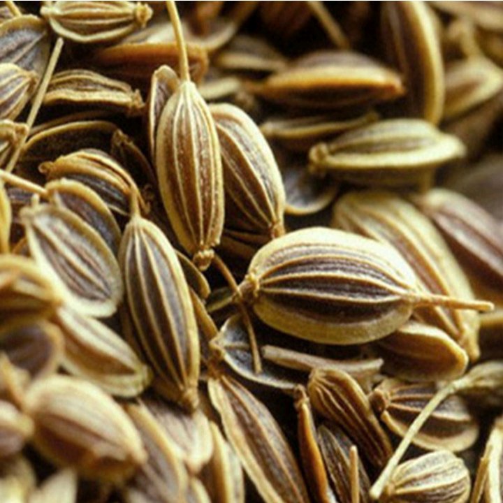 دمنوش زنیان خردانه انیسون(250 گرم) مناسب هاضمه عطار بانو