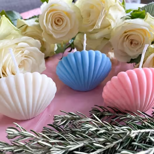 شمع صدف شمع مدل صدف شمع دکوراتیو شمع تزئینی شمع دریایی