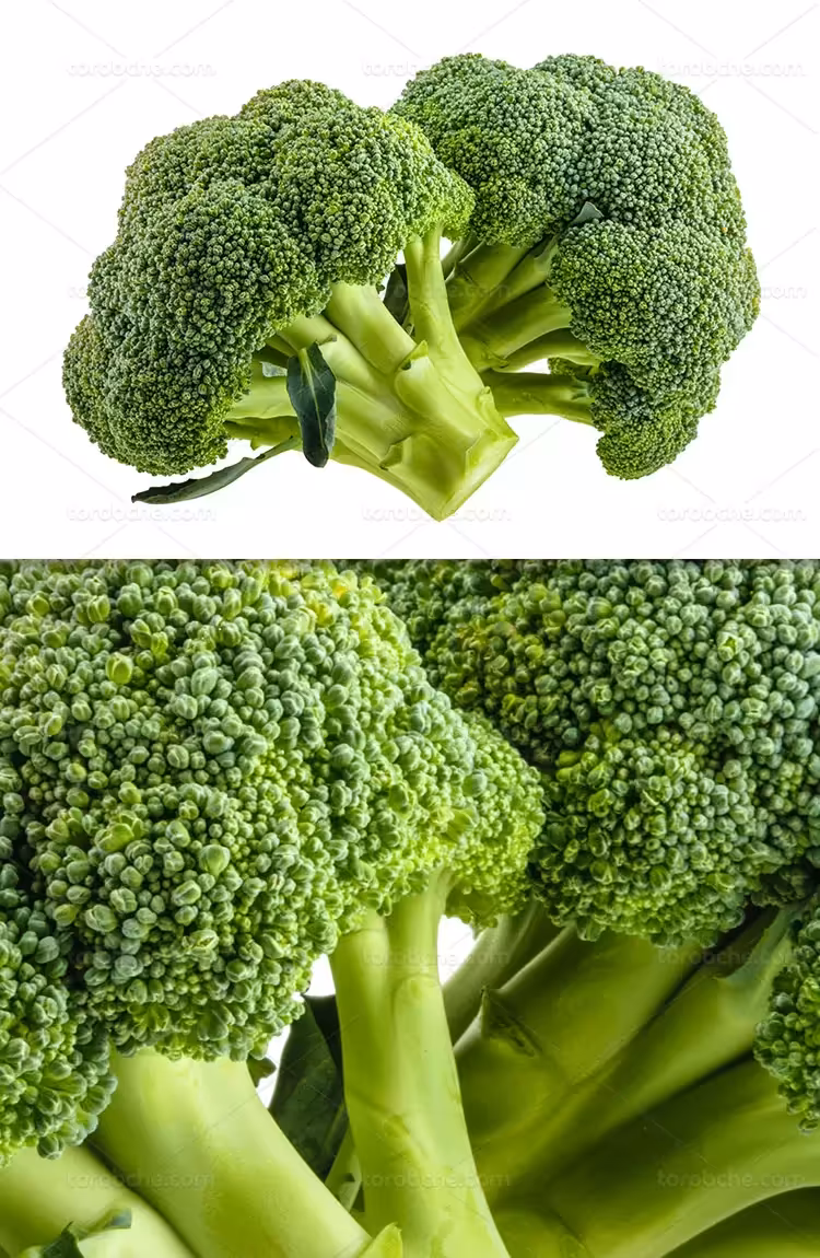 عکس گل کلم سبز و تازه | گرافیک با طعم تربچه