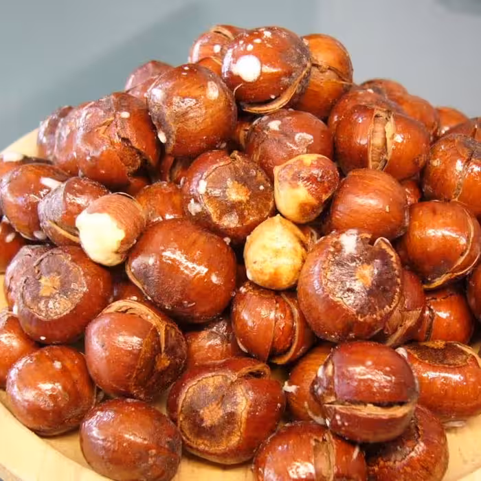 فندق ایرانی برشته جالیسو 5 کیلویی