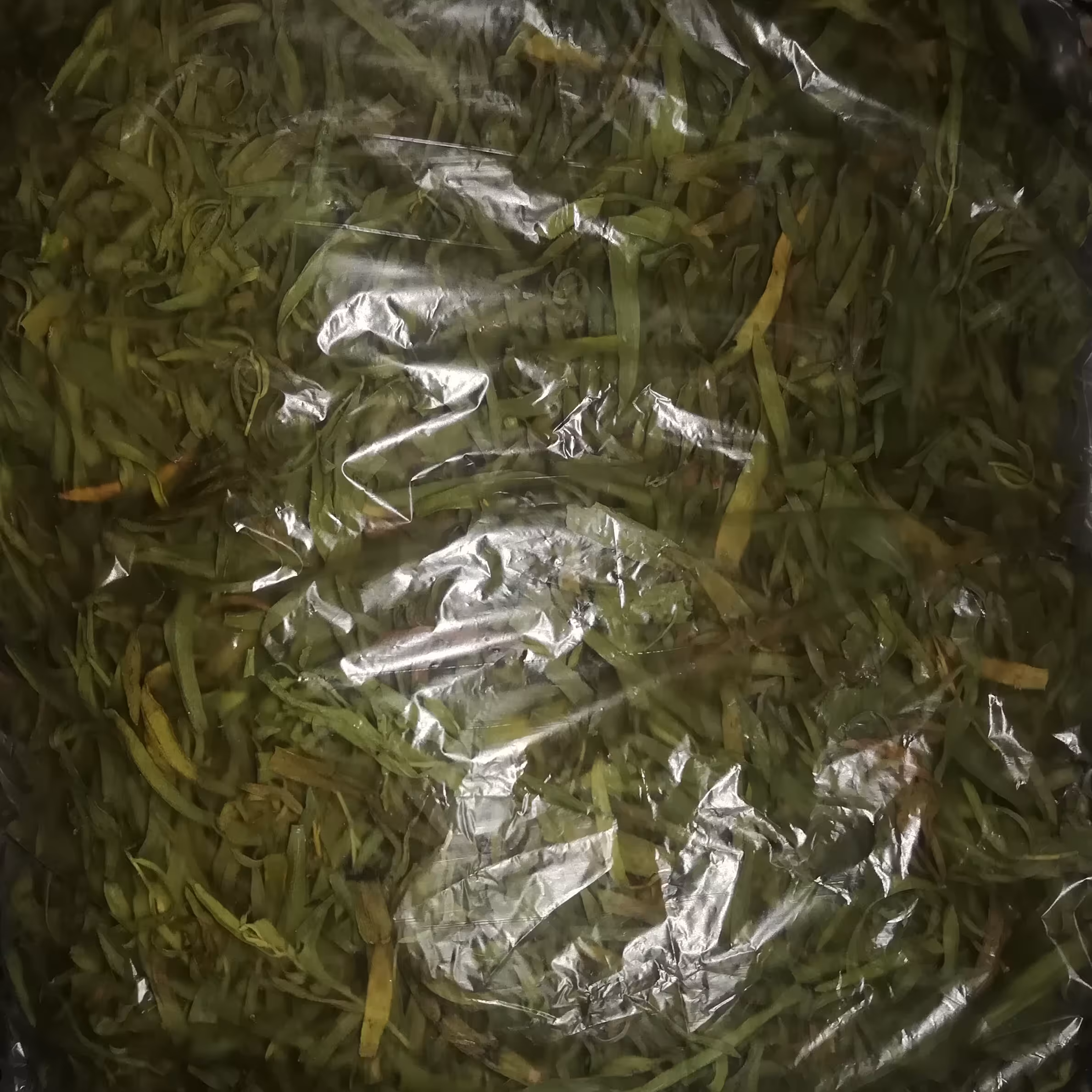 ترخون خانگی وزن 100گرم  سبز و معطر