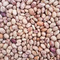 لوبیا چیتی ممتاز فدک  (1200گرم)