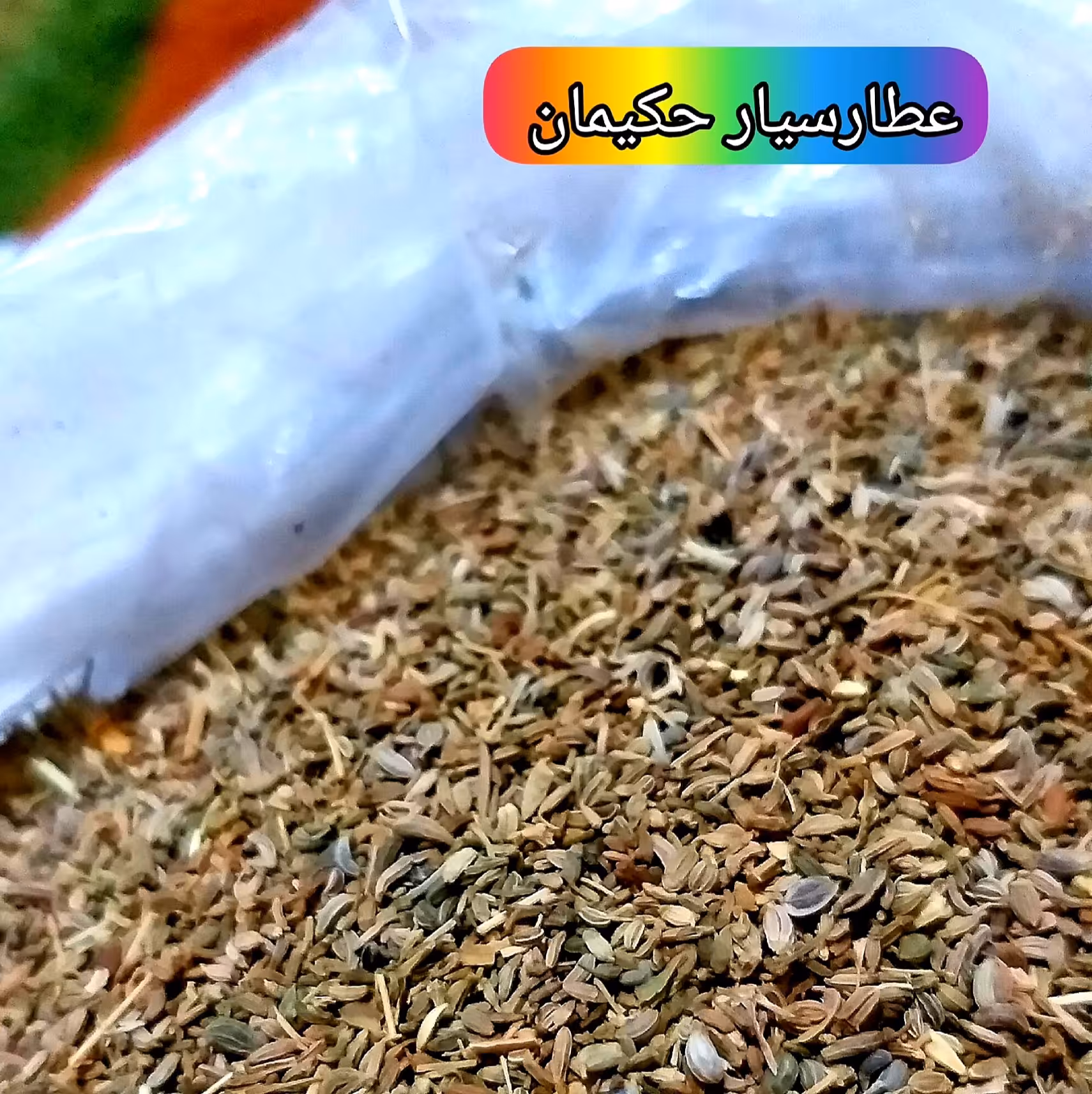 تخم کرفس (200 گرمی) 