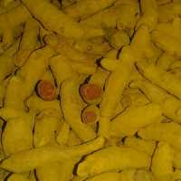 زردچوبه چارمنار تف داده شده ساب بروز
