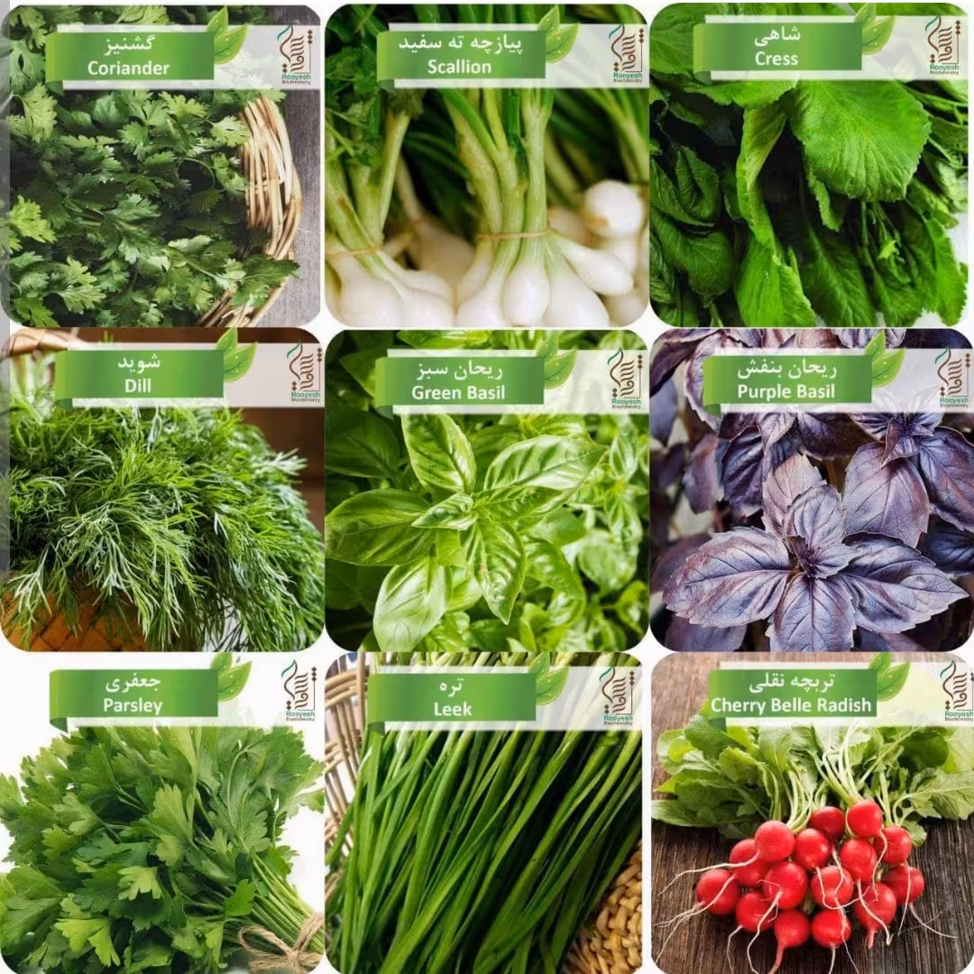 پک 9 عددی بذر سبزیجات معطر در بسته بندی (25 گرمی).