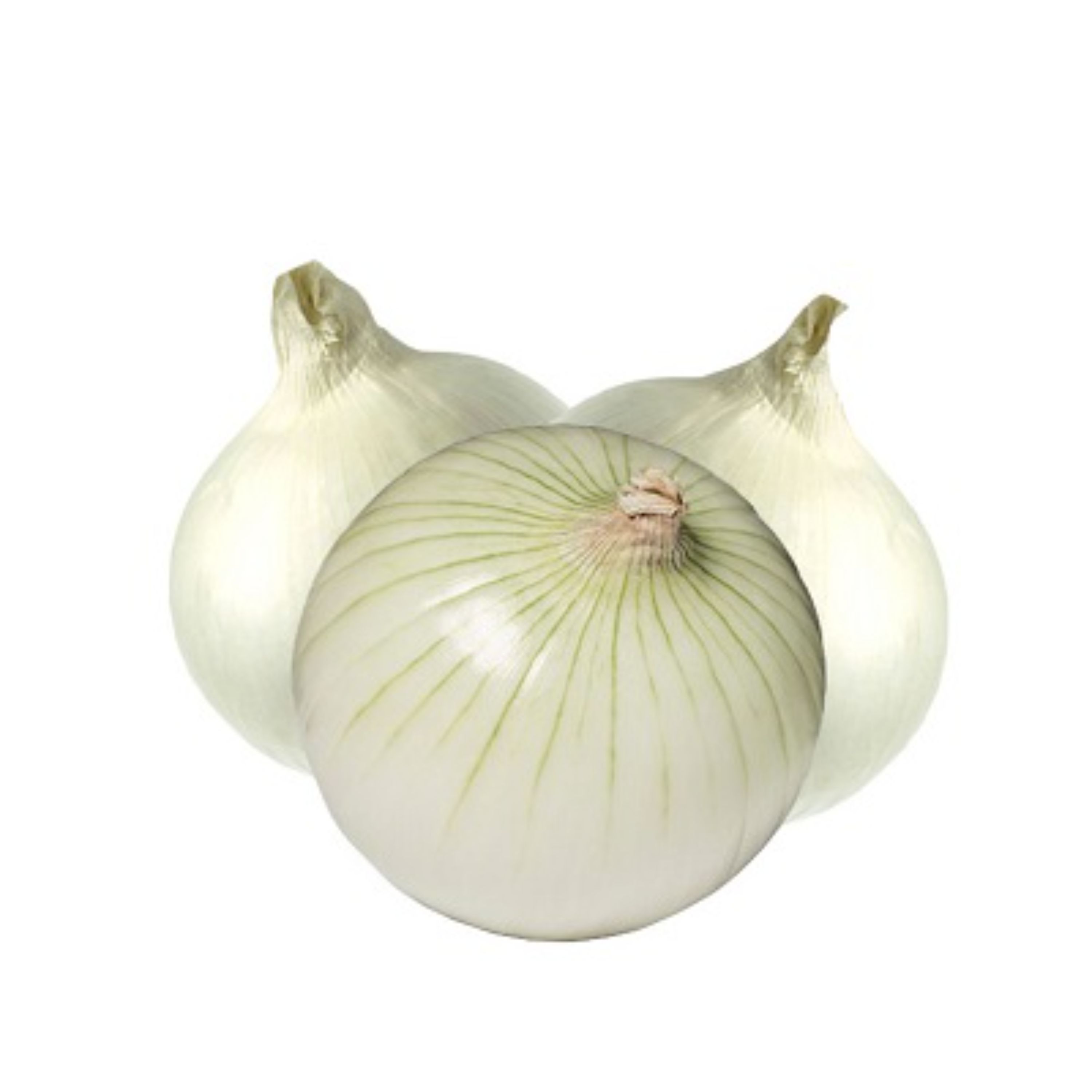 پیاز سفید یک کیلویی