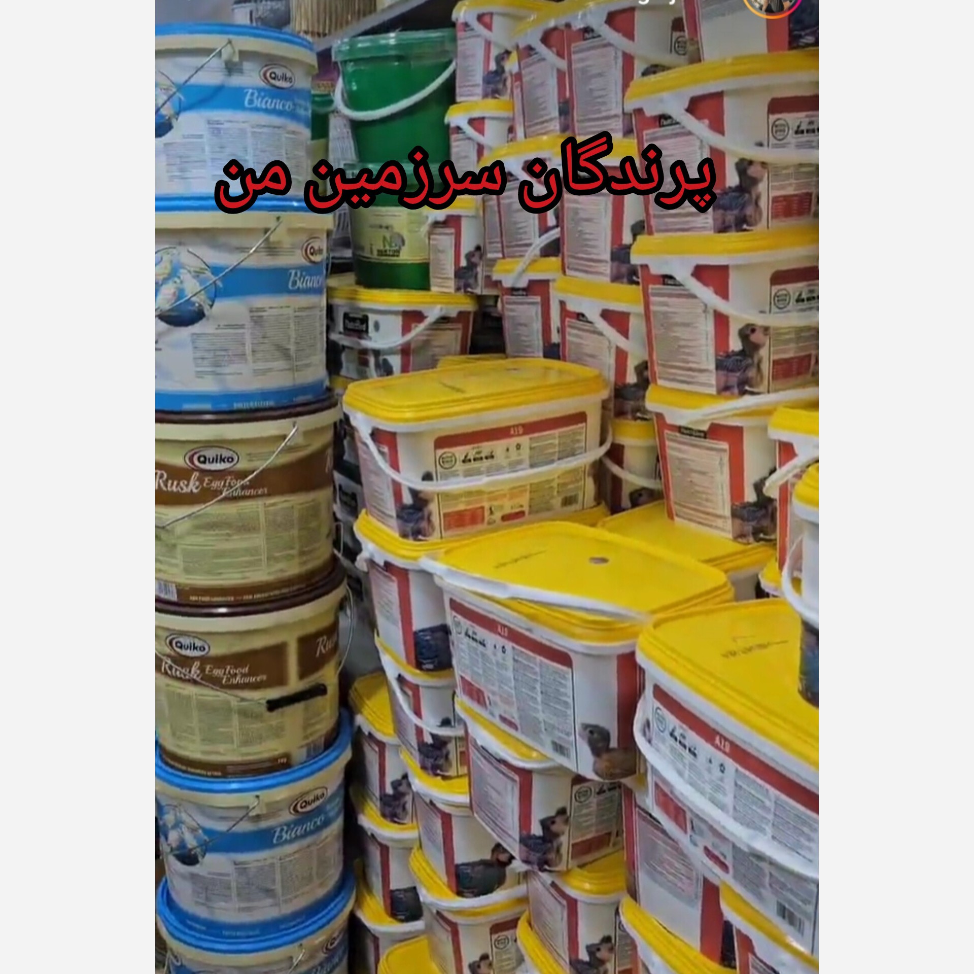 سرلاک ورسلگاa19مخصوص طوطی سانان 100گرمی 