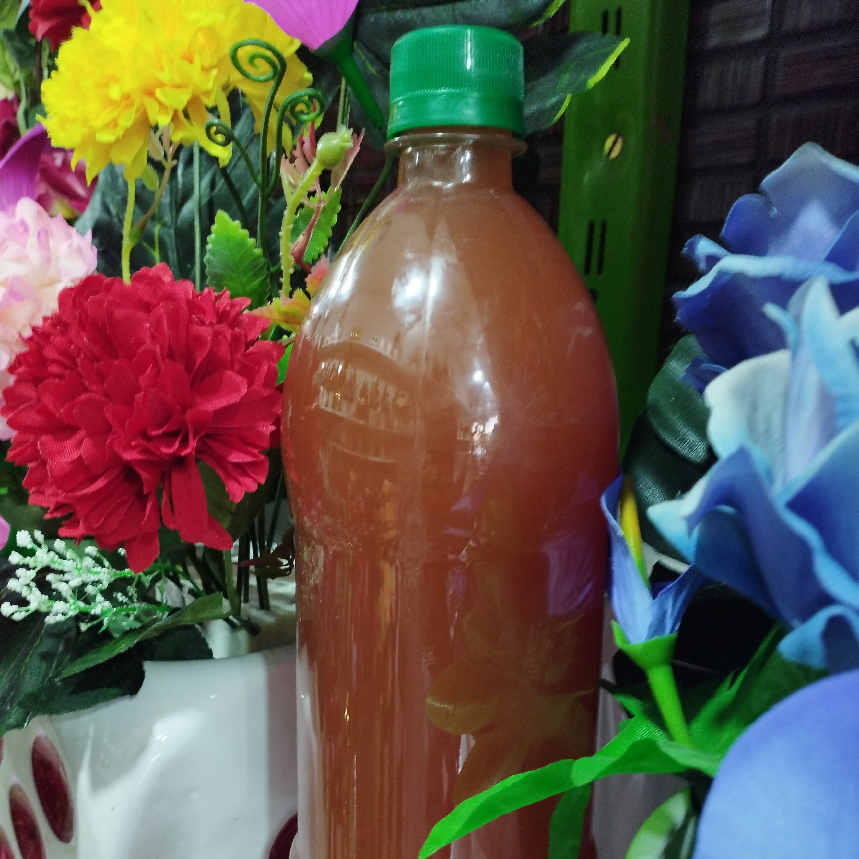 آبغوره  تازه خانگی