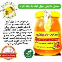 عسل چهل گیاه سبلان 1 کیلویی (مستقیم از زنبوردار)ارسال رایگان