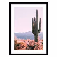 قیمت و خرید تابلو دکوراتیو مدل منظره بیابانی و کاکتوس کد 1290