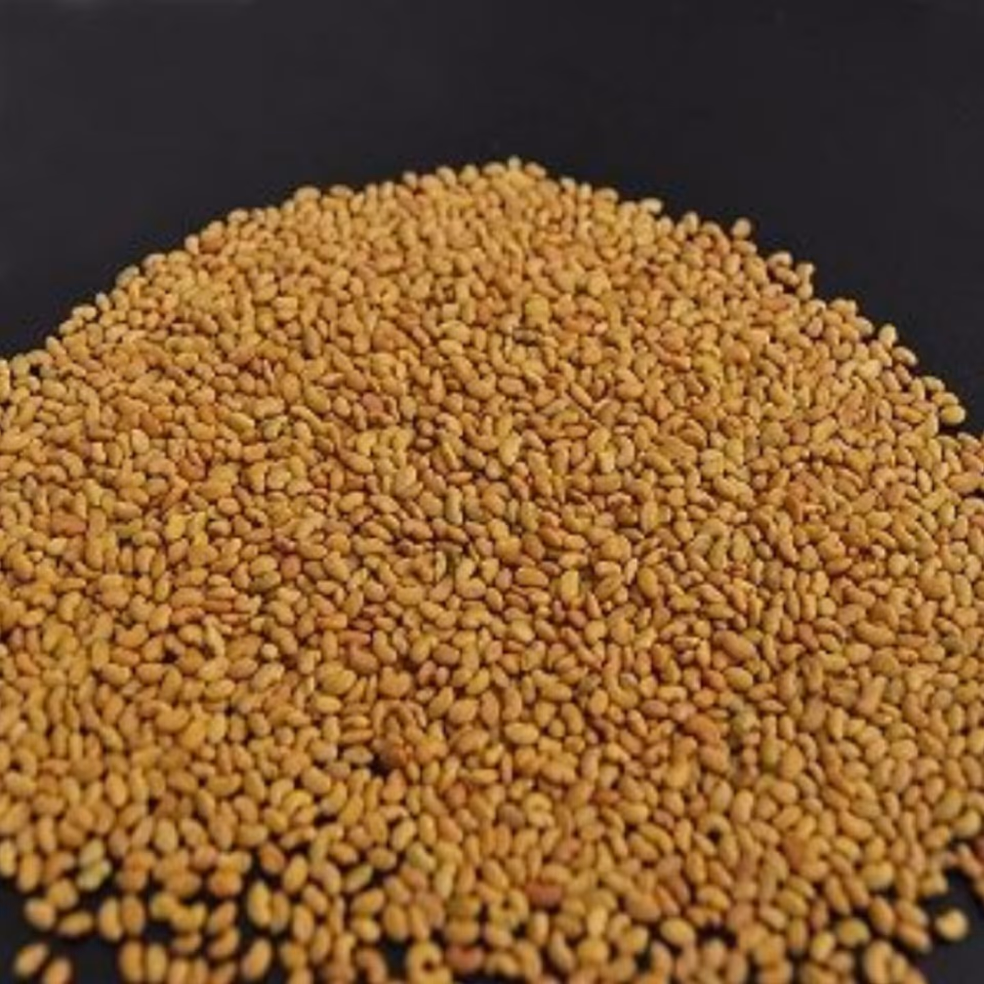 بذر یونجه 100 گرم 
