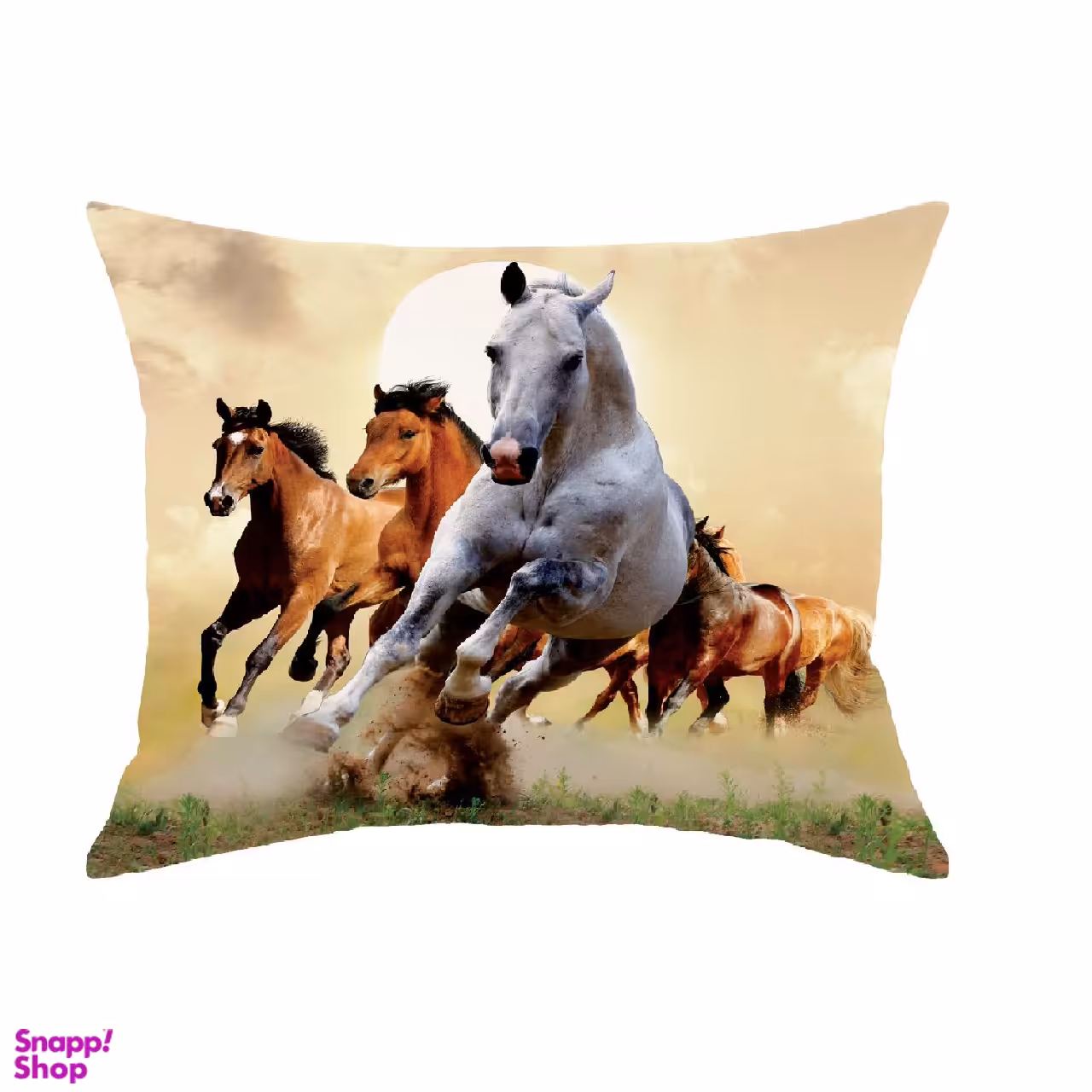 کوسن رنس مدل R1-10051 چند رنگ