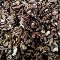 مغز گردو خورشتی 1403 تازه و امساله مراغه 500 گرم (تضمین کیفیت)