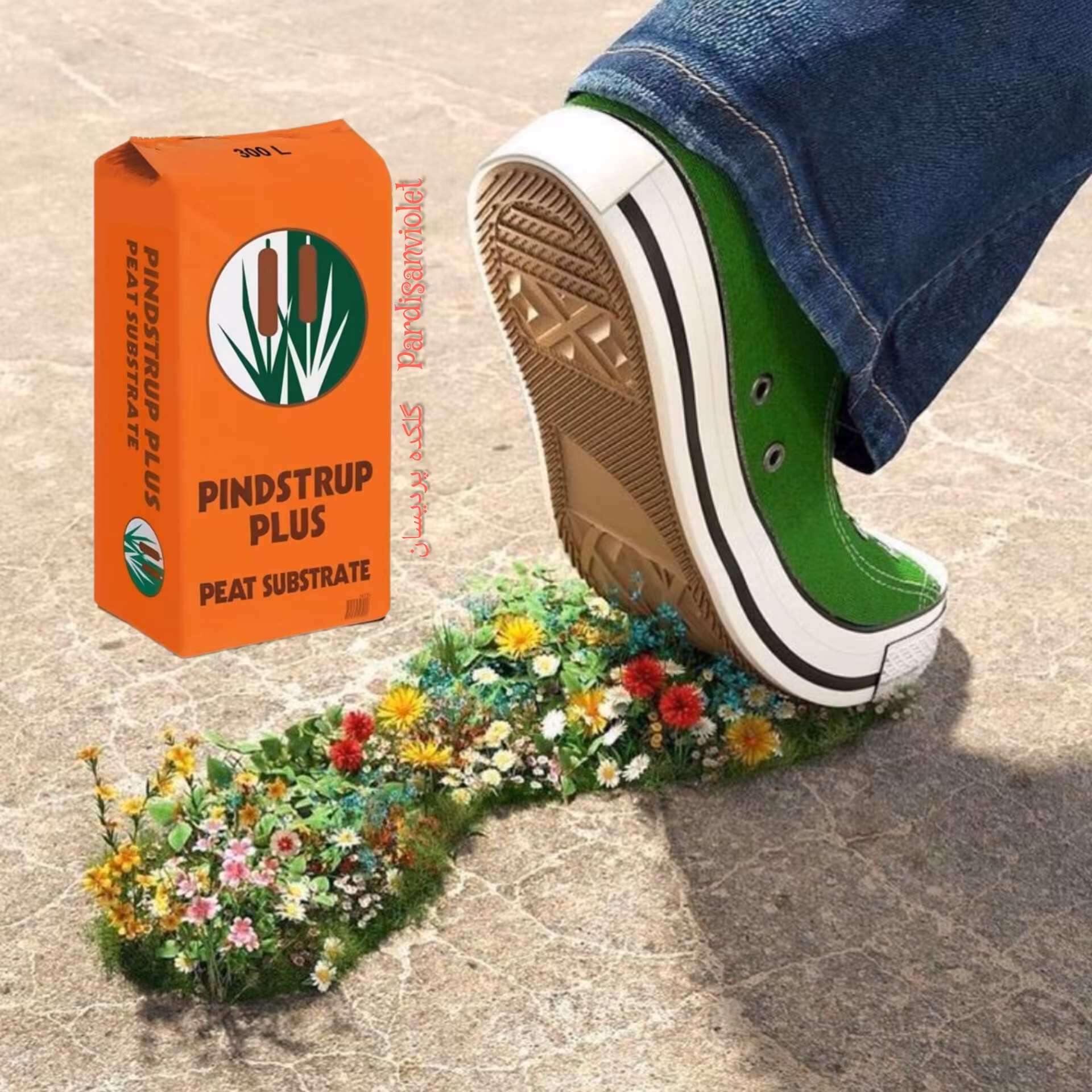 پیت ماس پینداستراپ 10 لیتری(تقریبی 3 کیلو)