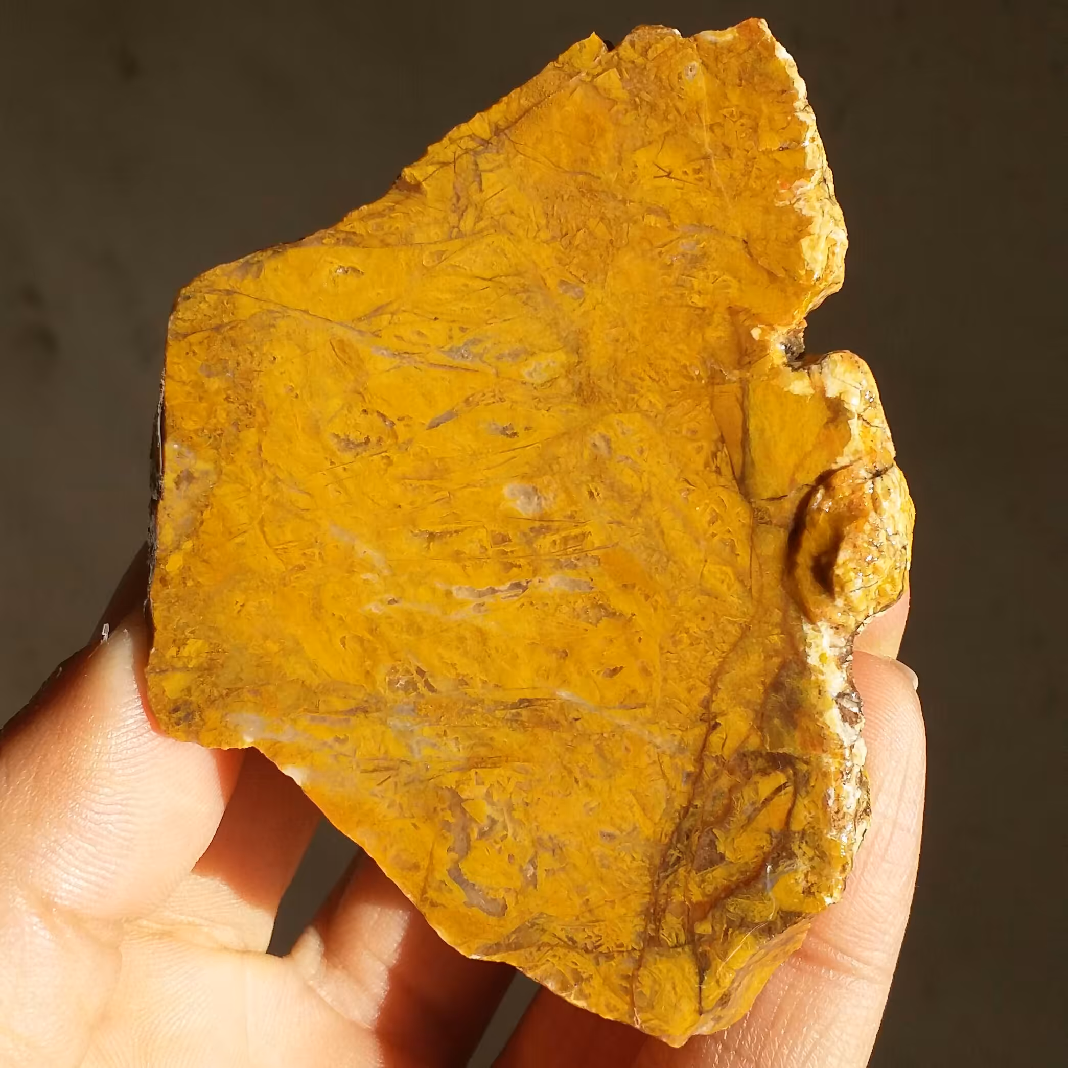 اسلایس سنگ راف جاسپر خردلی محشر 100 در 100 طبیعی شاهکار خلقت بی نظیییر
با قابلیت ساخت چند نگین دیدنی کد 9990