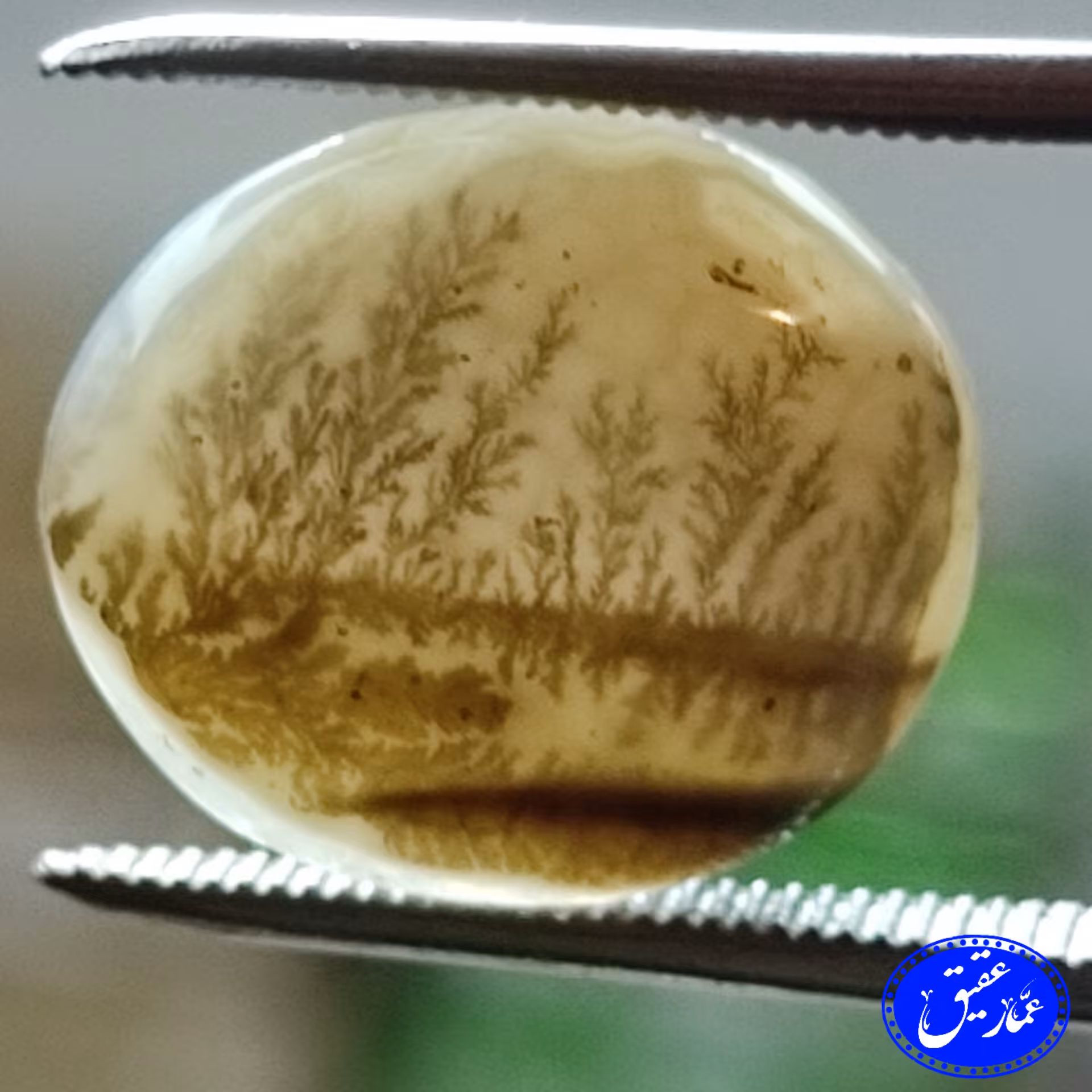 نگین عقیق شجر منظره سایز 