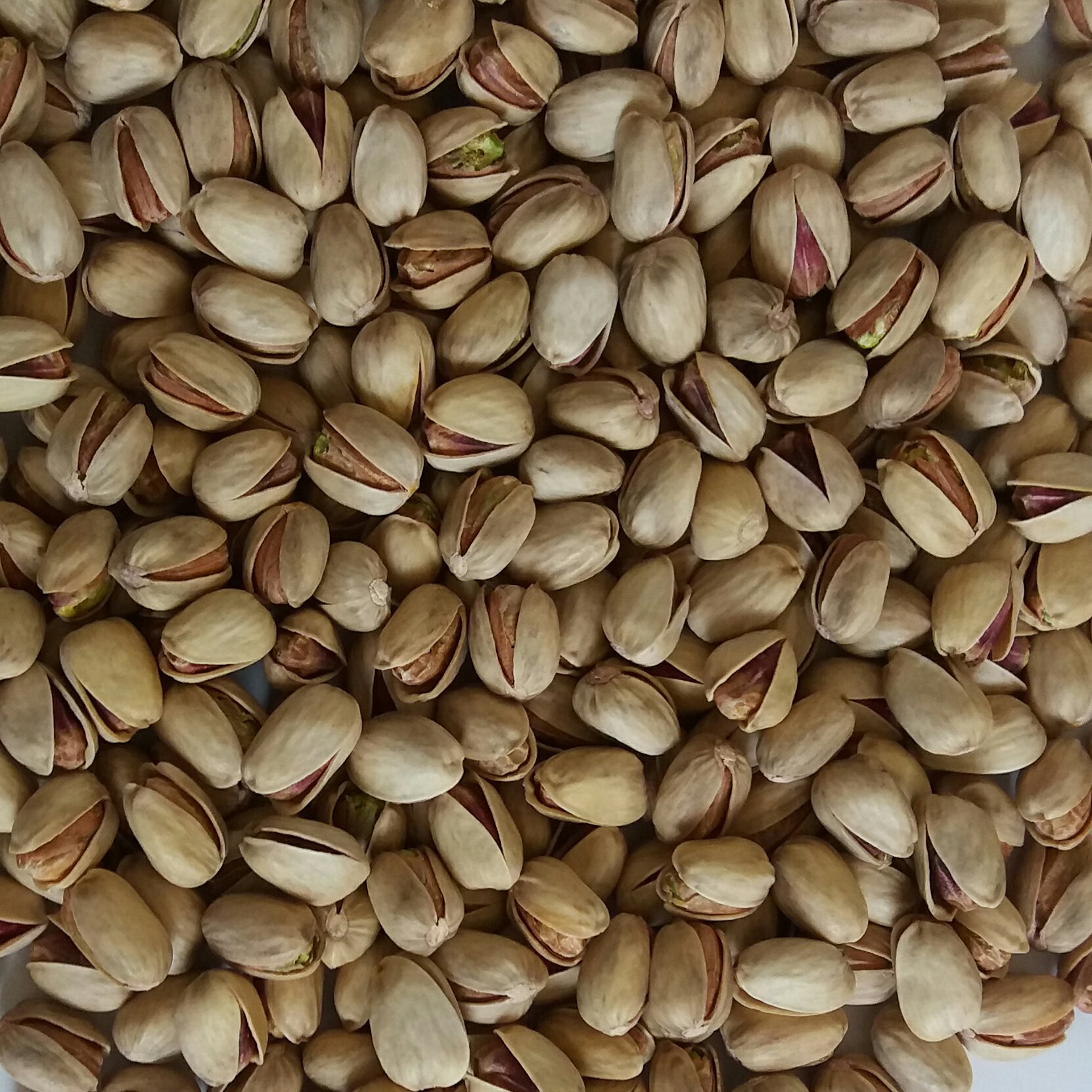 پسته کله قوچی خندان 26-28 دانه (10کیلوئی )