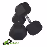 دمبل شش ضلعی دو عددی 40 کیلویی