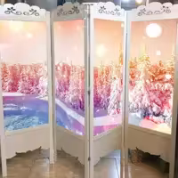 پاراوان تصویری  pa-1 (هزینه ارسال به عهده مشتری می باشد)