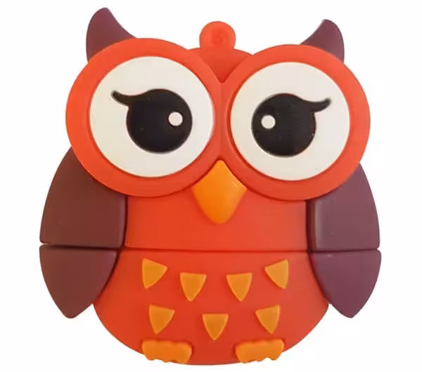 فلش مموری عروسکی جغد مدل BF10 ظرفیت 64 گیگابایت