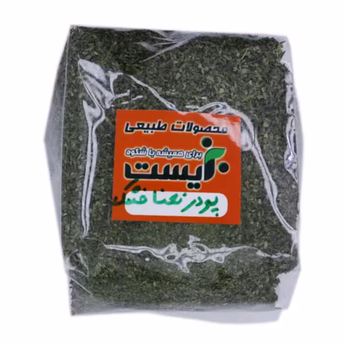 پودر نعنا خشک بزست 100 گرمی