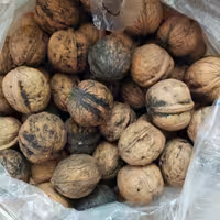 گردو با پوست خوشمزه