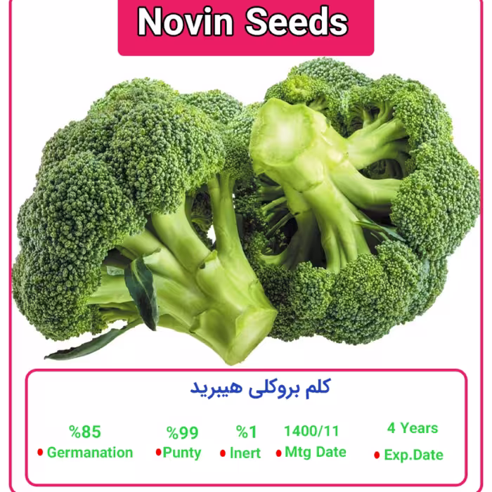 بذر کلم بروکلی پاکت خانگی
