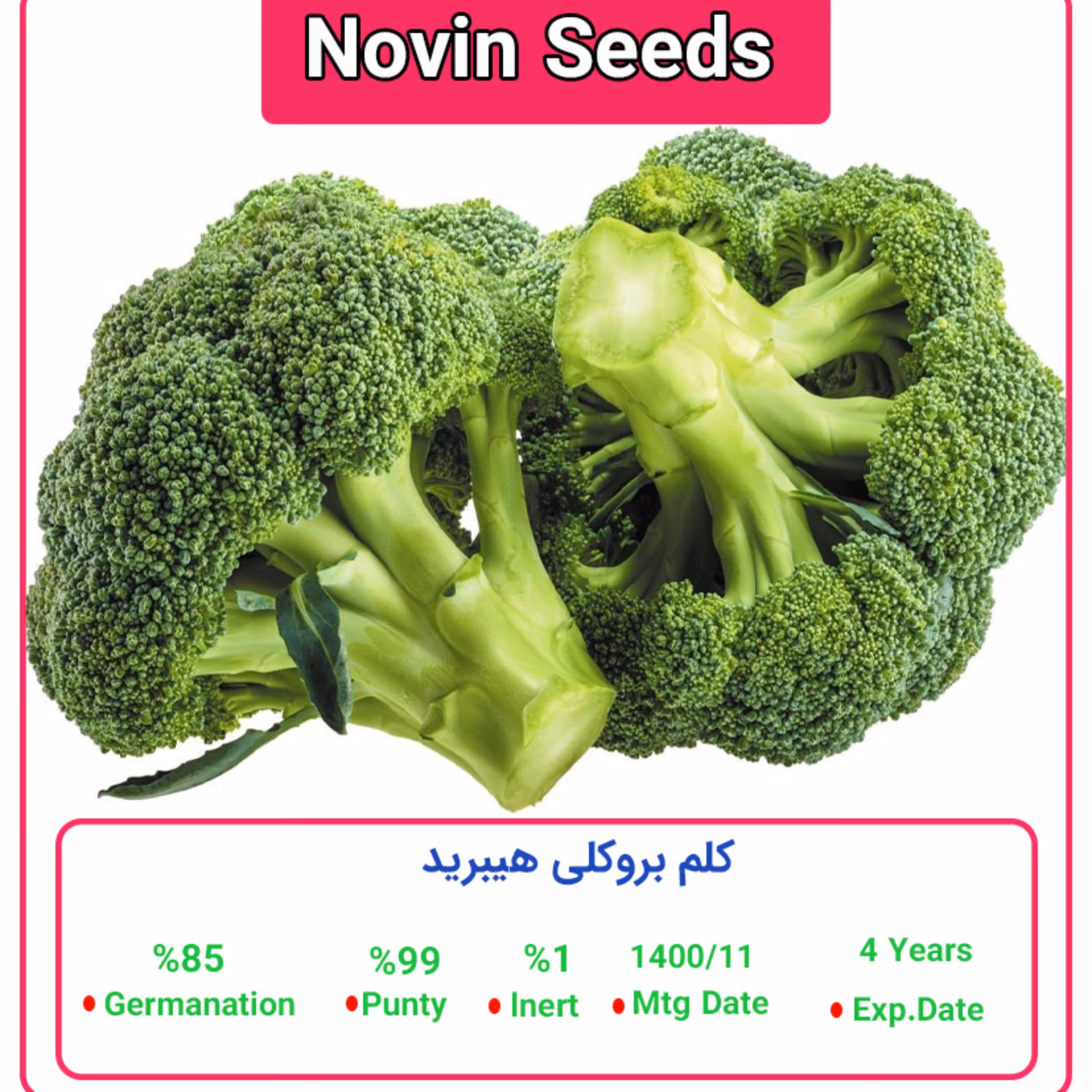 بذر کلم بروکلی پاکت خانگی