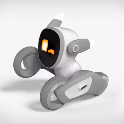 loona robot(ربات خانگی لونا)