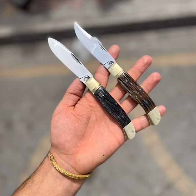 چاقو  میوه خوری دسته شاخ