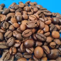 قهوه ربوستا مدیوم (300)گرمی