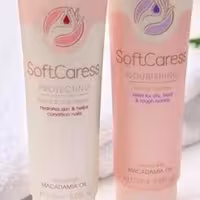 کرم دست فندق( یک عدد)