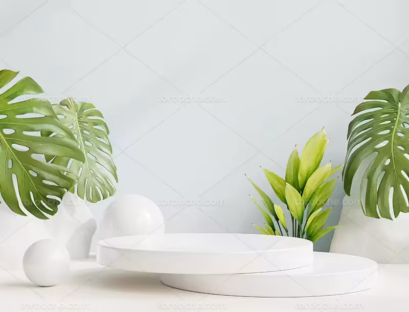 بک دراپ عکاسی محصول با برگ انجیر | گرافیک با طعم تربچه