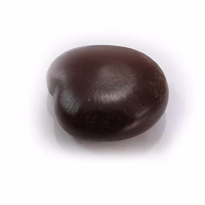 بذر کمر