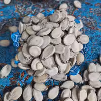 تخمه هندوانه سفیددیم 250 گرم  کم نمک 