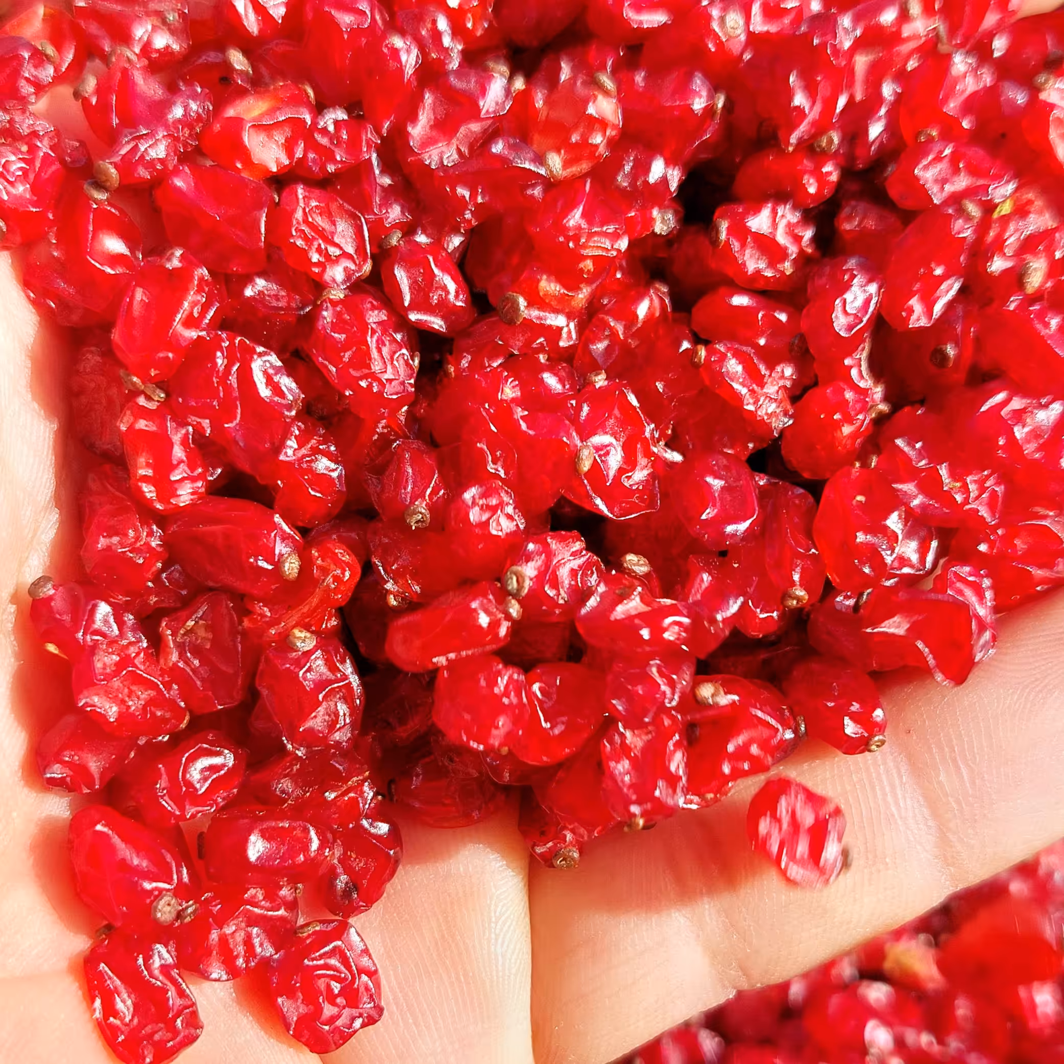 زرشک پفکی امسالی