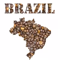 دان قهوه سانتوس برزیل 100درصد عربیکا ارسال رایگان Brazil santos coffee 