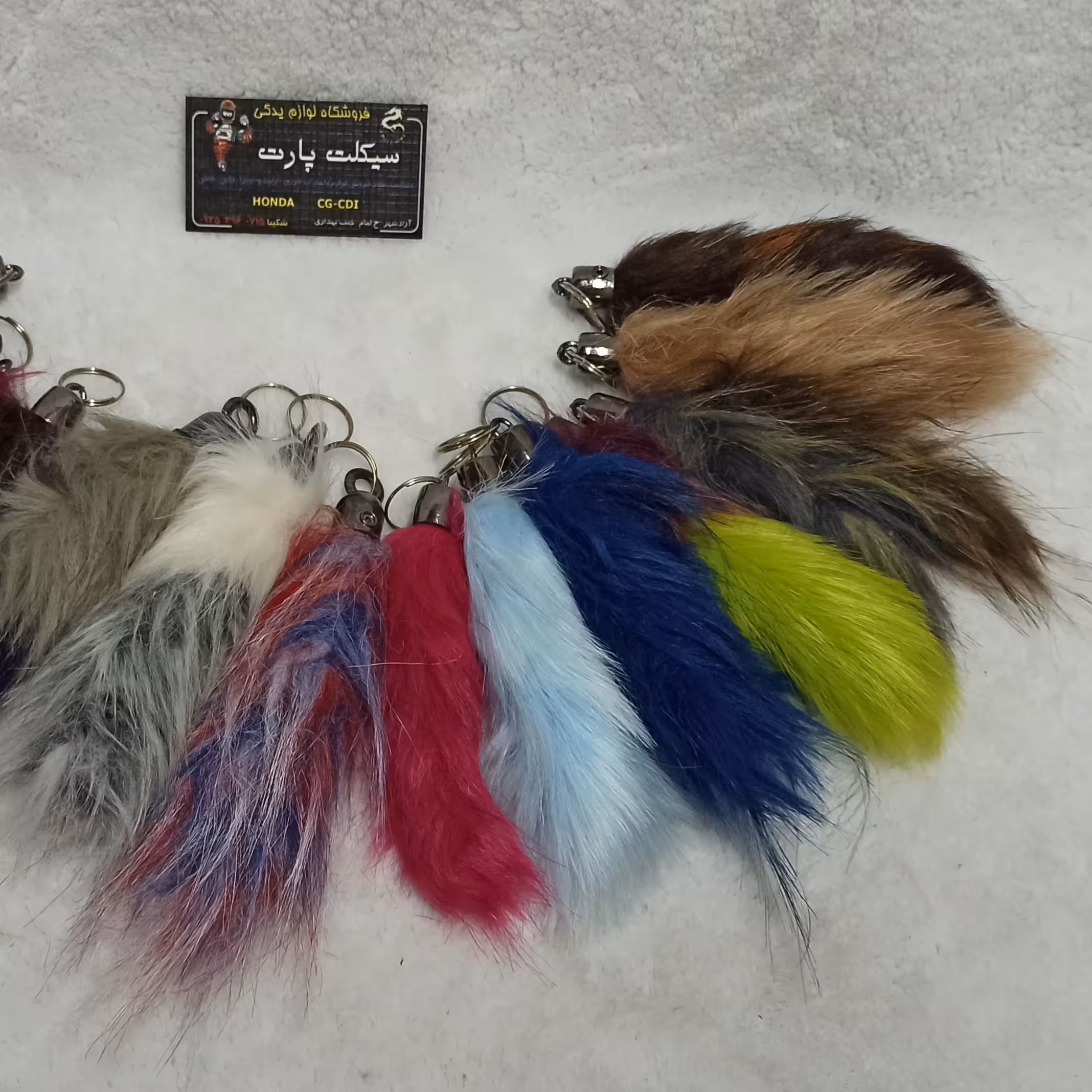 جا سوئیچی دم روباهی 