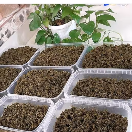 سبزی قرمه کم سرخ (500گرم )