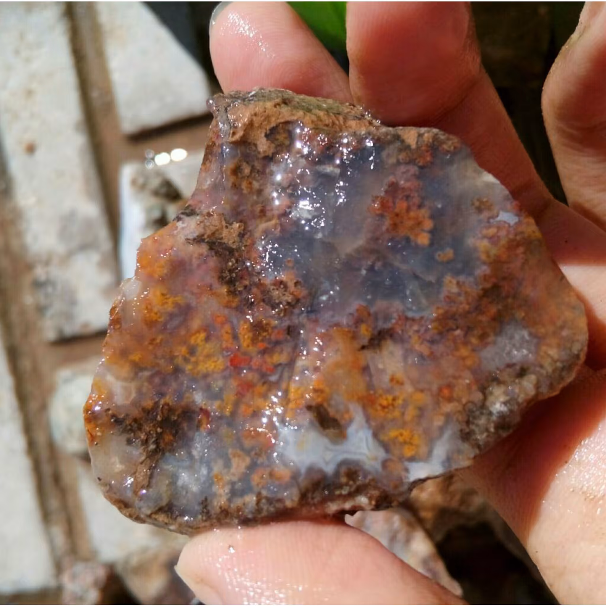 راف بسیار دیدنی شجر رنگی مختص تراش نگین های بسیار زیبا و کلکسیون