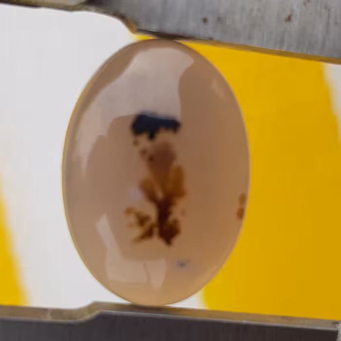 عقیق شجر بسیار زیبا